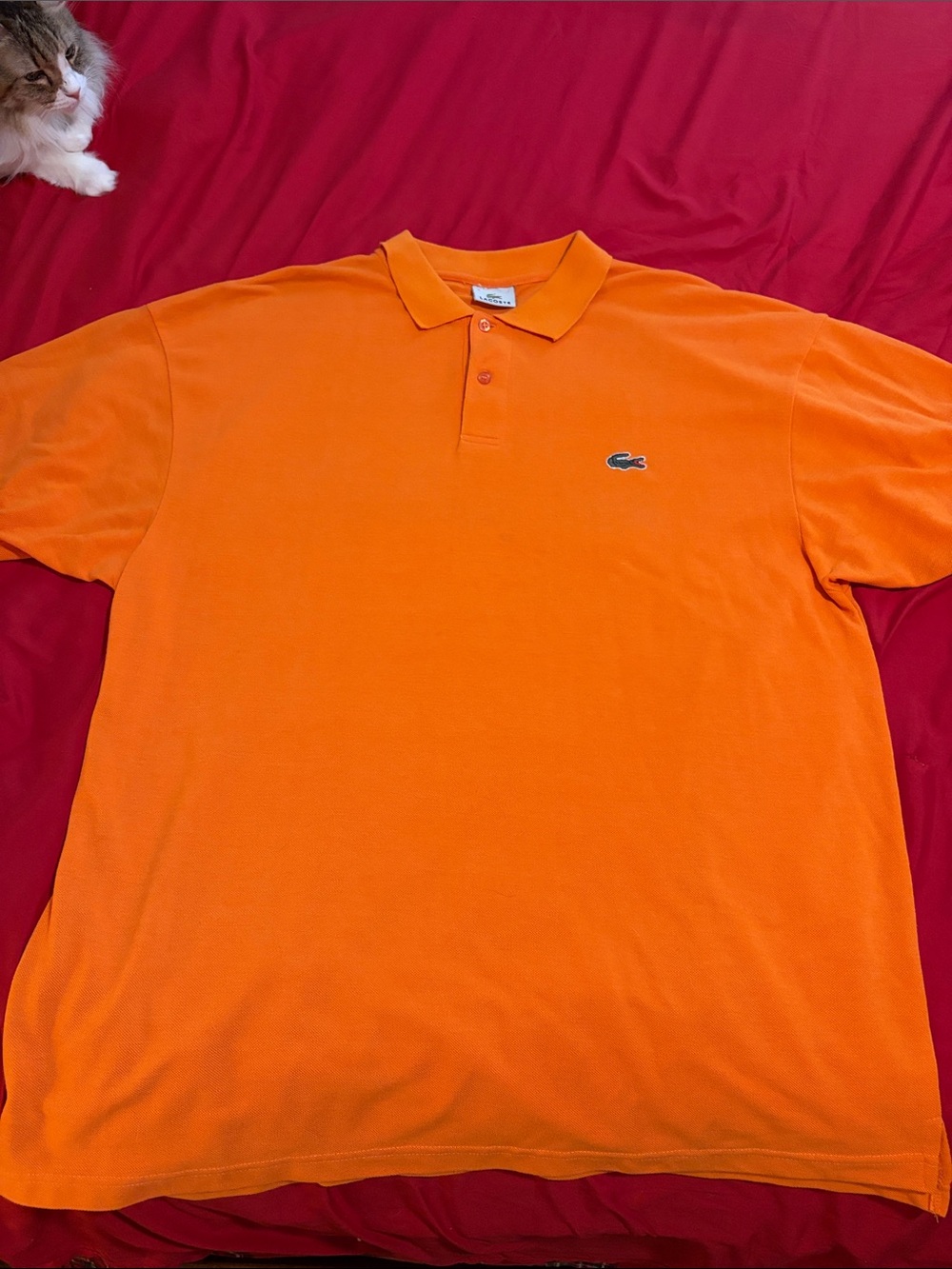 Lacoste Men's Polo Shirt in Bright Orange with Embroidered Crocodile